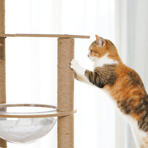 Multi-level wooden cat tree with capsule house