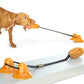 Double suction cup ball toys