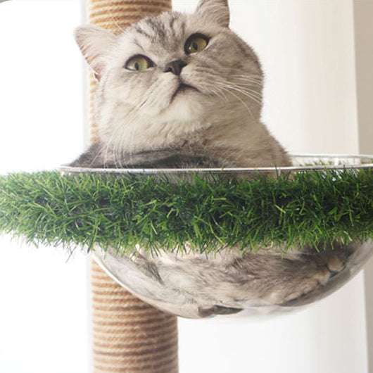 PV lawn tall cat tree