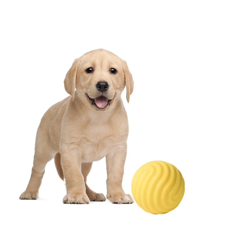 Solid TPR High Bouch Dog Ball Toys