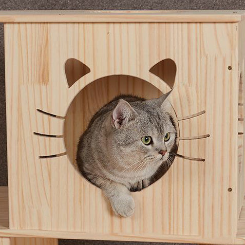 Luxury wooden cat villa