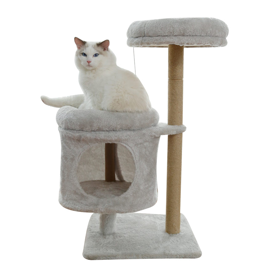 Small αand βcat tree