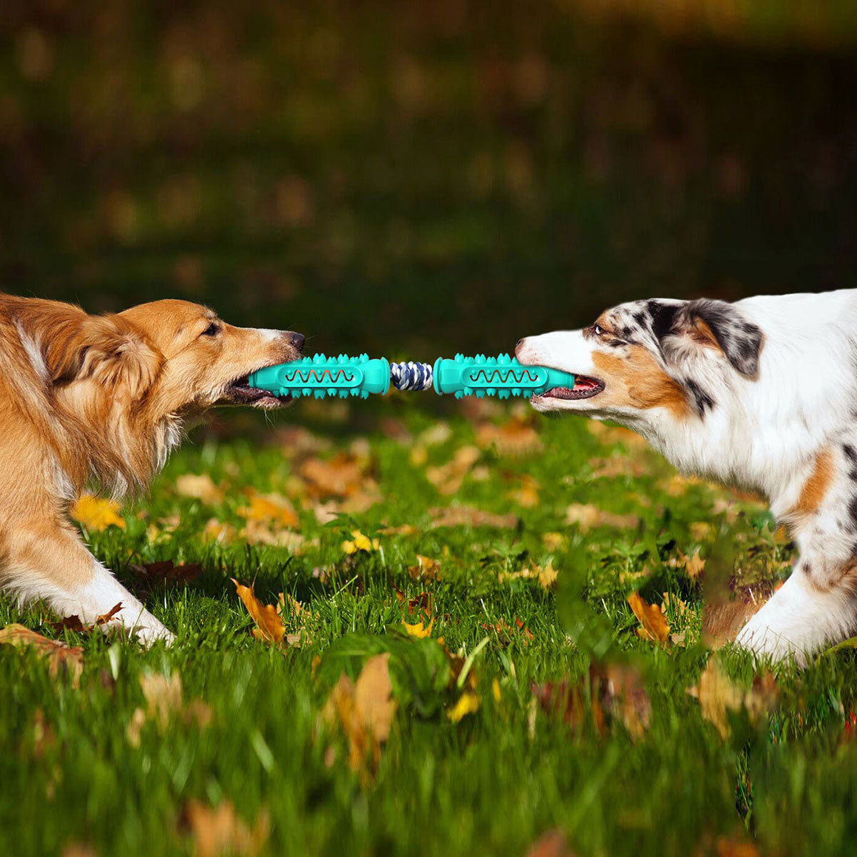 Chew toy with rope-2pcs