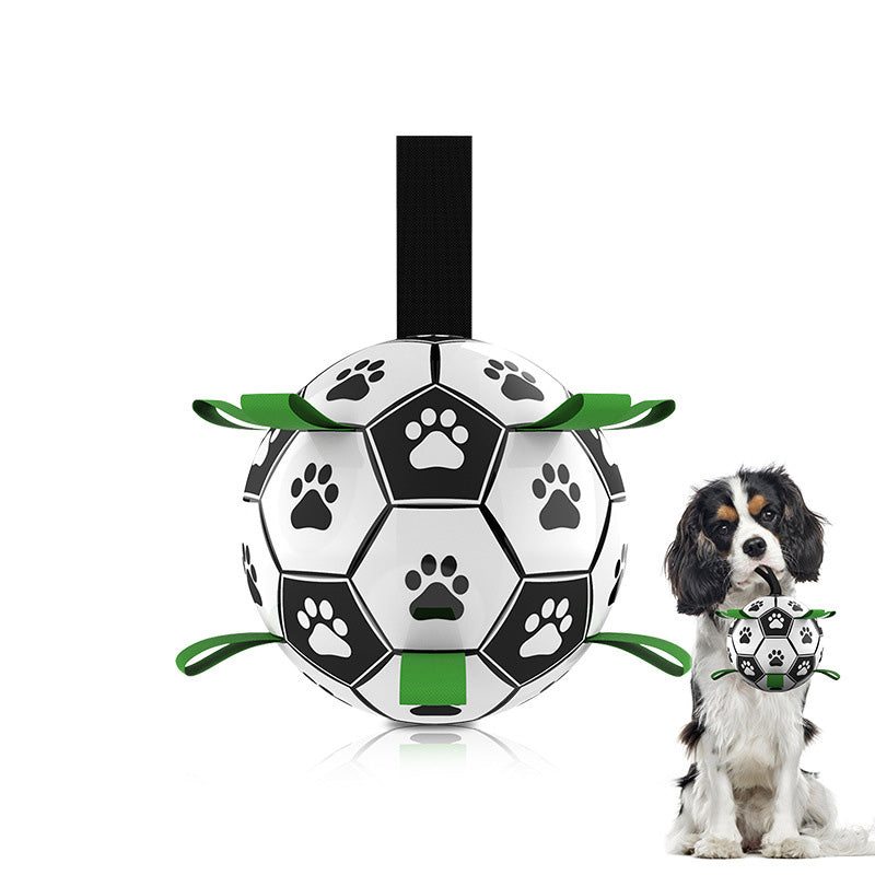 Dog footballs toys