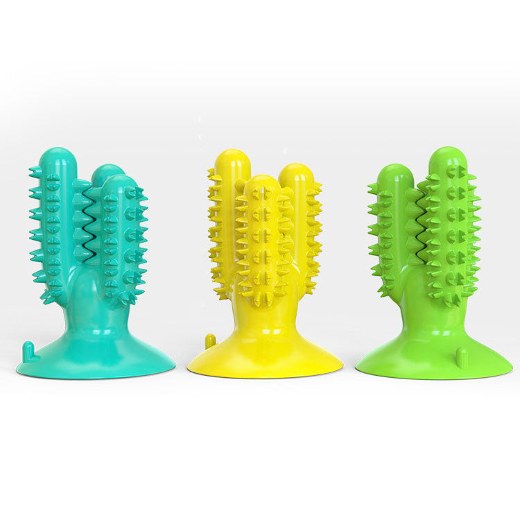 Cactus chew toys