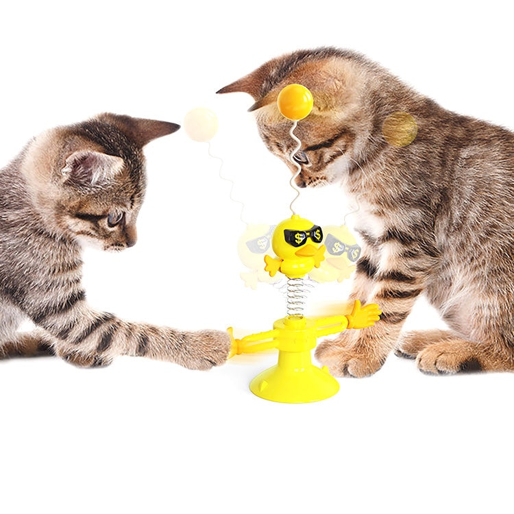 Spring bird cat toys