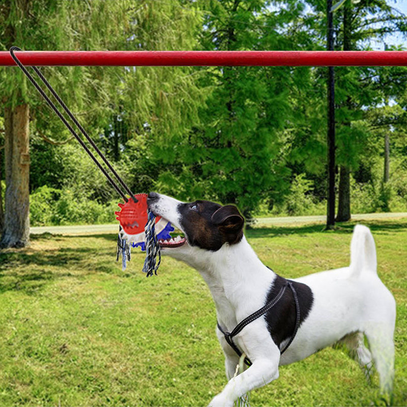 Outdoor rope pulling ball