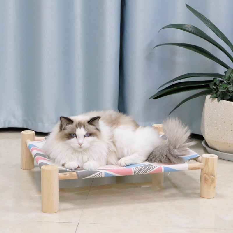 Fashion cat tent bed