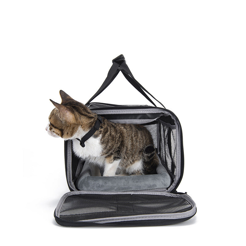 Pet Carrier for Small Medium Cats Dogs Airline Approved