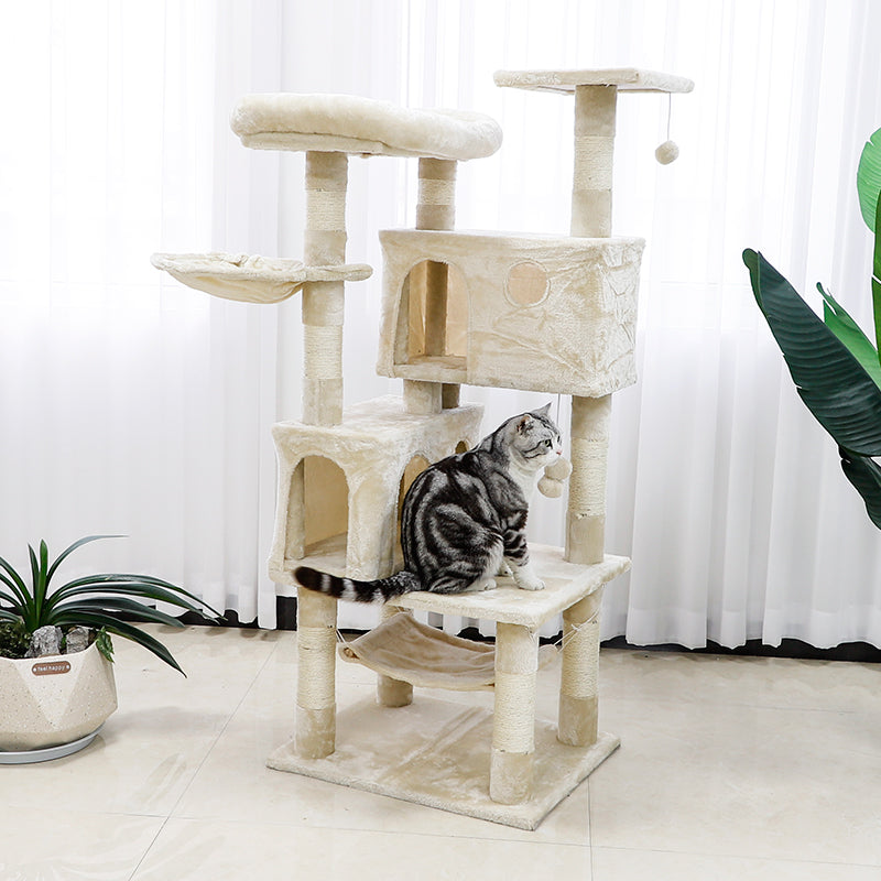 55-inch multifunctional cat activity center for indoor cats