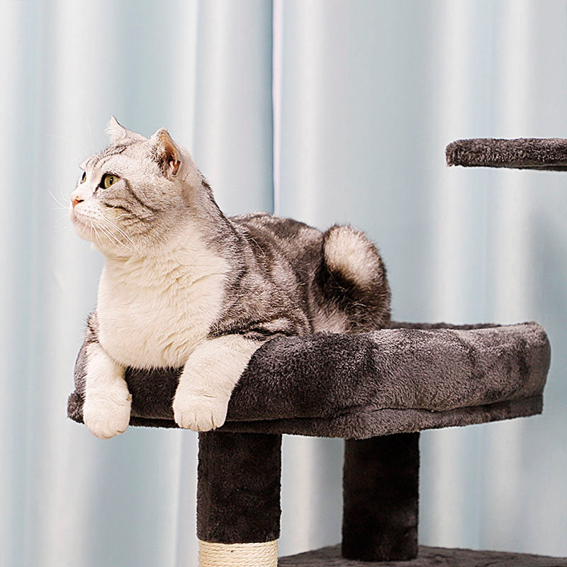 63-inch cat activity center for multiple cats