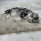 Long plush dog mat pet bed