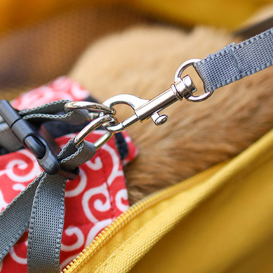 Refreshing pet travel bag