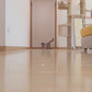Cat Paw Laser Projection Light