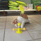 Spring doll cat toys
